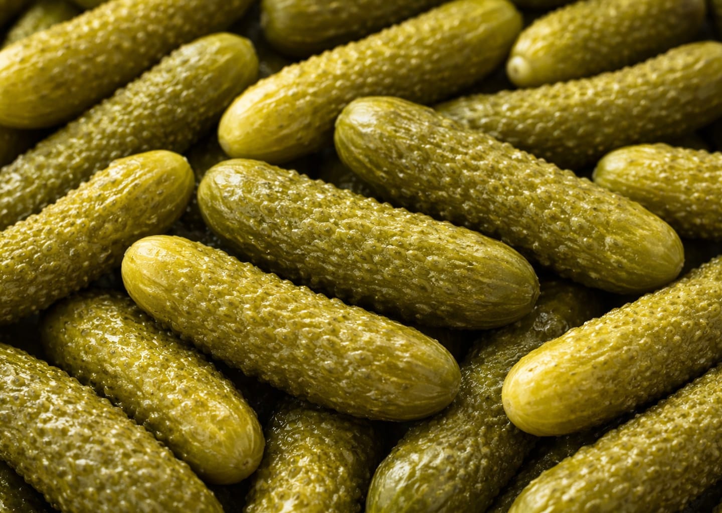 MAXI FORMAT PICKLED CUCUMBERS 