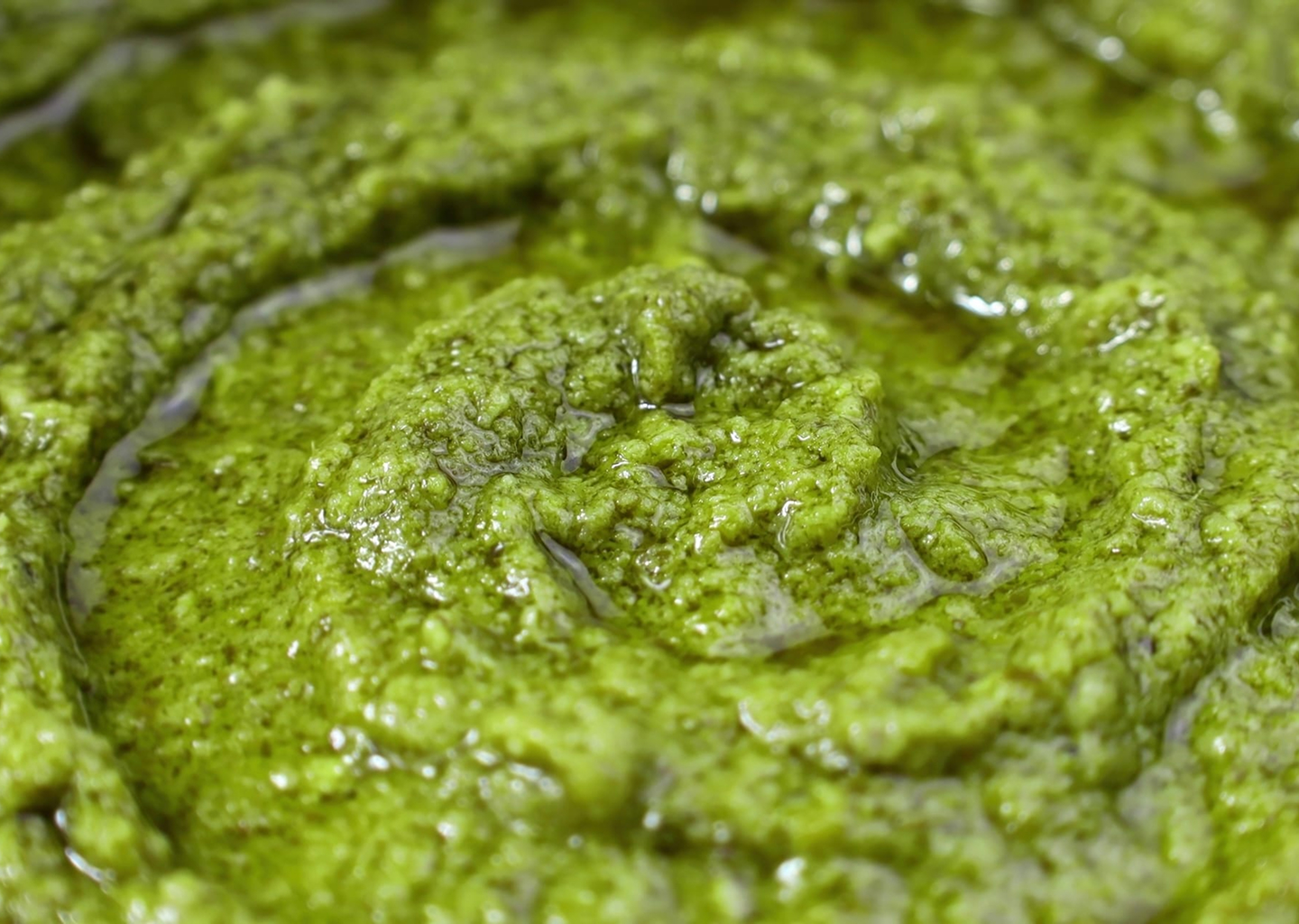 BASIL PESTO